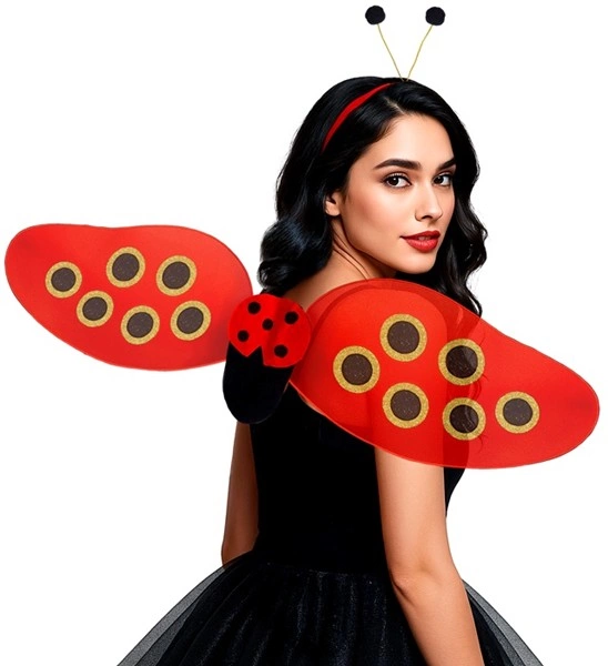 Set Coccinella Travestimento – Ali e Cerchietto con Antenne – PS 08963