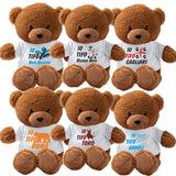Peluche Orsetto Calcio Squadra del Cuore – Personalizzabile con Nome | Teddy Bear 18 cm PS 33790-001