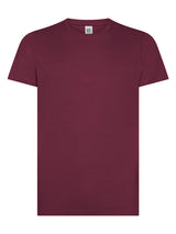 T-Shirt Evolution Manica Corta BS Maglietta Adulto Personalizzabile PS 33741