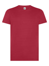 T-Shirt Evolution Manica Corta BS Maglietta Adulto Personalizzabile PS 33741