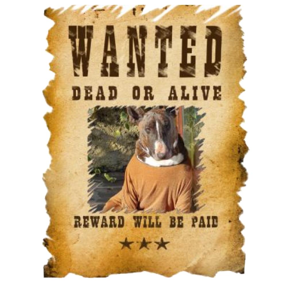 T-Shirt “Wanted Dead or Alive” Personalizzata con la Tua Foto – Mod. PS 27431-A061 - PRS